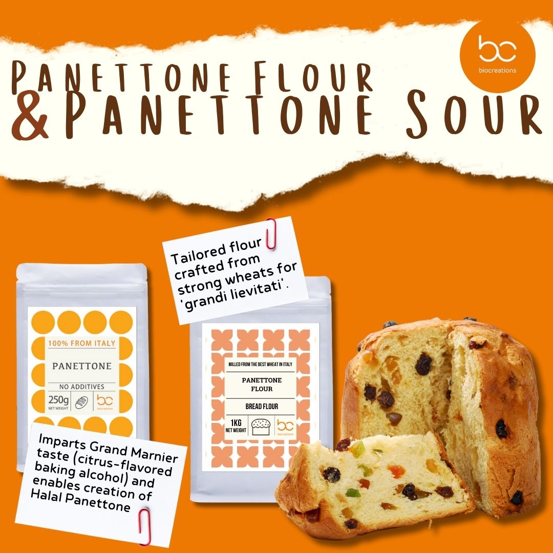 Panettone%20Recipe%20%281%29%20%281%29.pdf.jpg?1701772166684