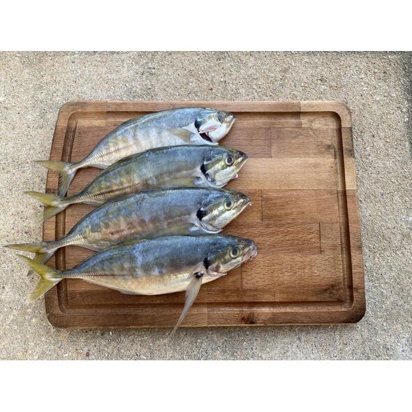 Shop By Category :: Seafood :: Selar Fish (1KG)