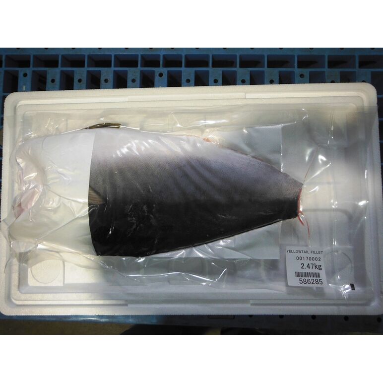 Products Frozen Yellowtail Fillet (13.4kg Carton)